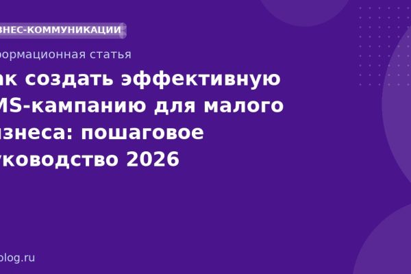 Как создать эффективную SMSкампанию для малого бизнеса: пошаговое руководство 2026