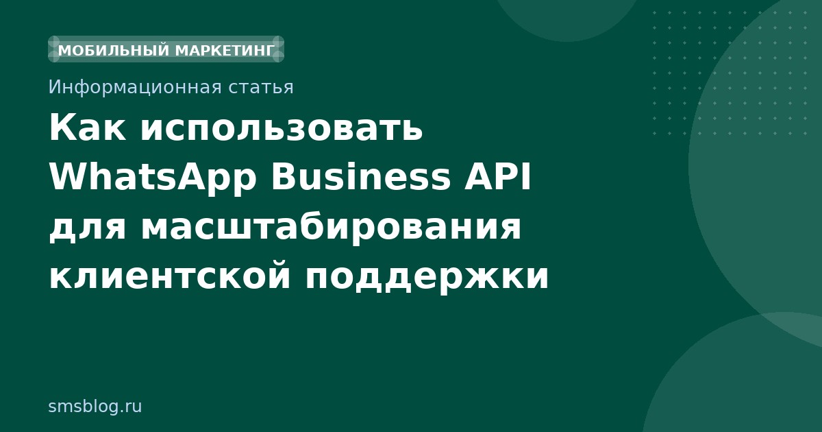 Как использовать WhatsApp Business API для масштабирования клиентской поддержки
