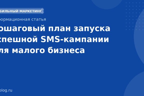 Пошаговый план запуска успешной SMSкампании для малого бизнеса