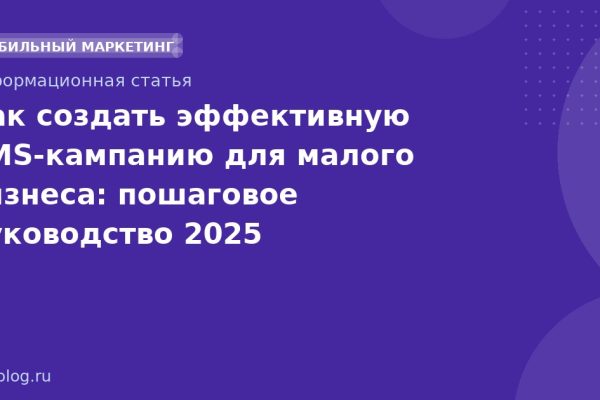 Как создать эффективную SMSкампанию для малого бизнеса: пошаговое руководство 2025