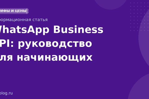 WhatsApp Business API: руководство для начинающих