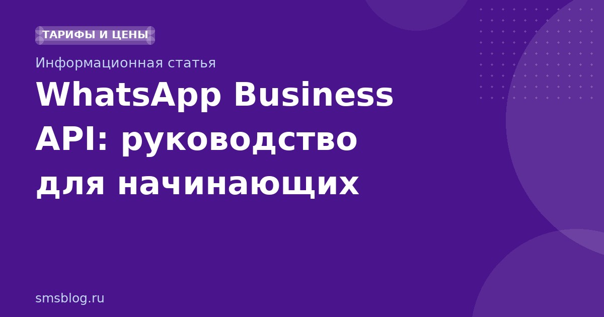 WhatsApp Business API: руководство для начинающих